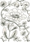 Fleurs en noir et blanc