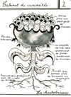 Cabinet de curiosité 2 : La charbobrassac