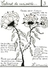Cabinet de curiosité 3 : L'amourie