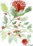 productAsset