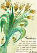 productAsset