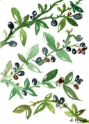 productAsset