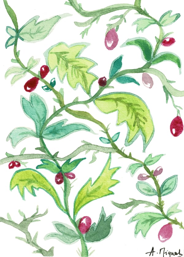 1747159768986Branchesetfruitspourpres_front.webp