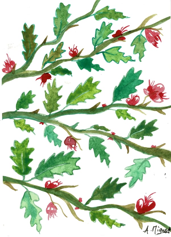 1747161835550Baiesrosesetrouges_front.webp