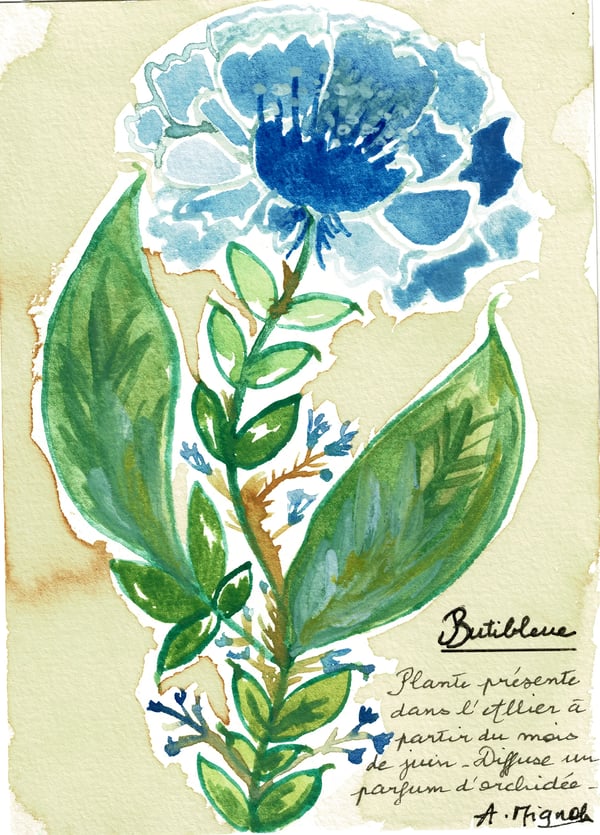 1747164647781Butibleue_front.webp