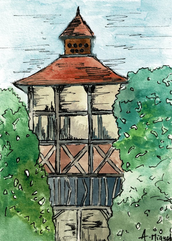 1749668244011PIgeonnier_front.webp
