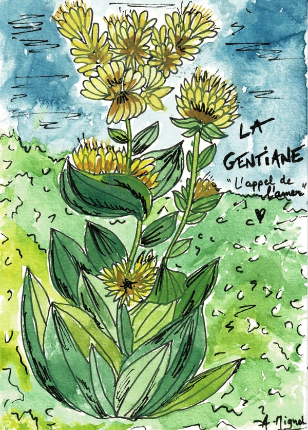 1750875110357Lagentiane_front.webp