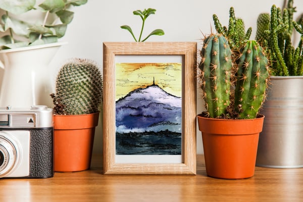 1750875317676PuydeDômeorangeetviolet_frame.webp